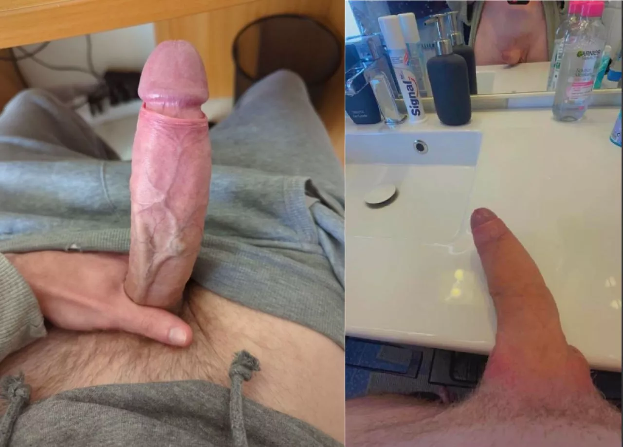 Which cock is bigger?(L/R)