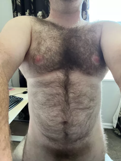 35 m uncut hairy dm sc