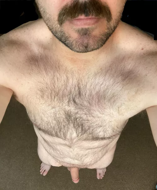 [41] Any love for a hairy dad bod?