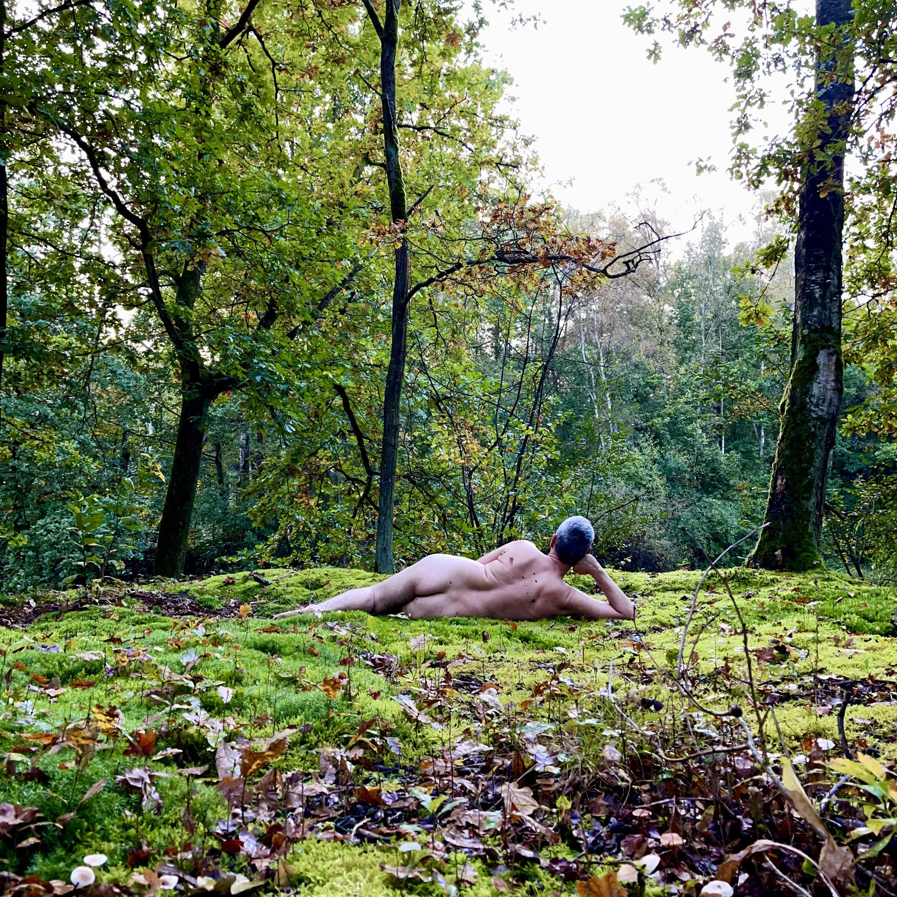 A mossy recline in the woods…