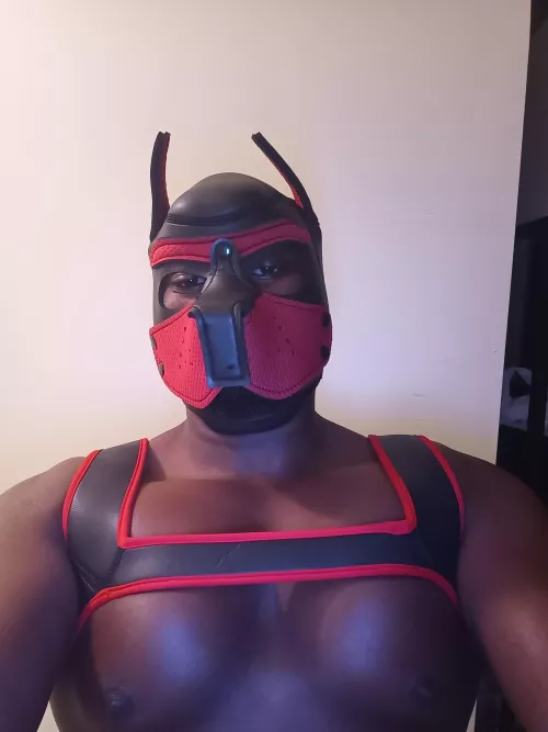 First Mask, New here. Hello everyone. Vers Bottom here.