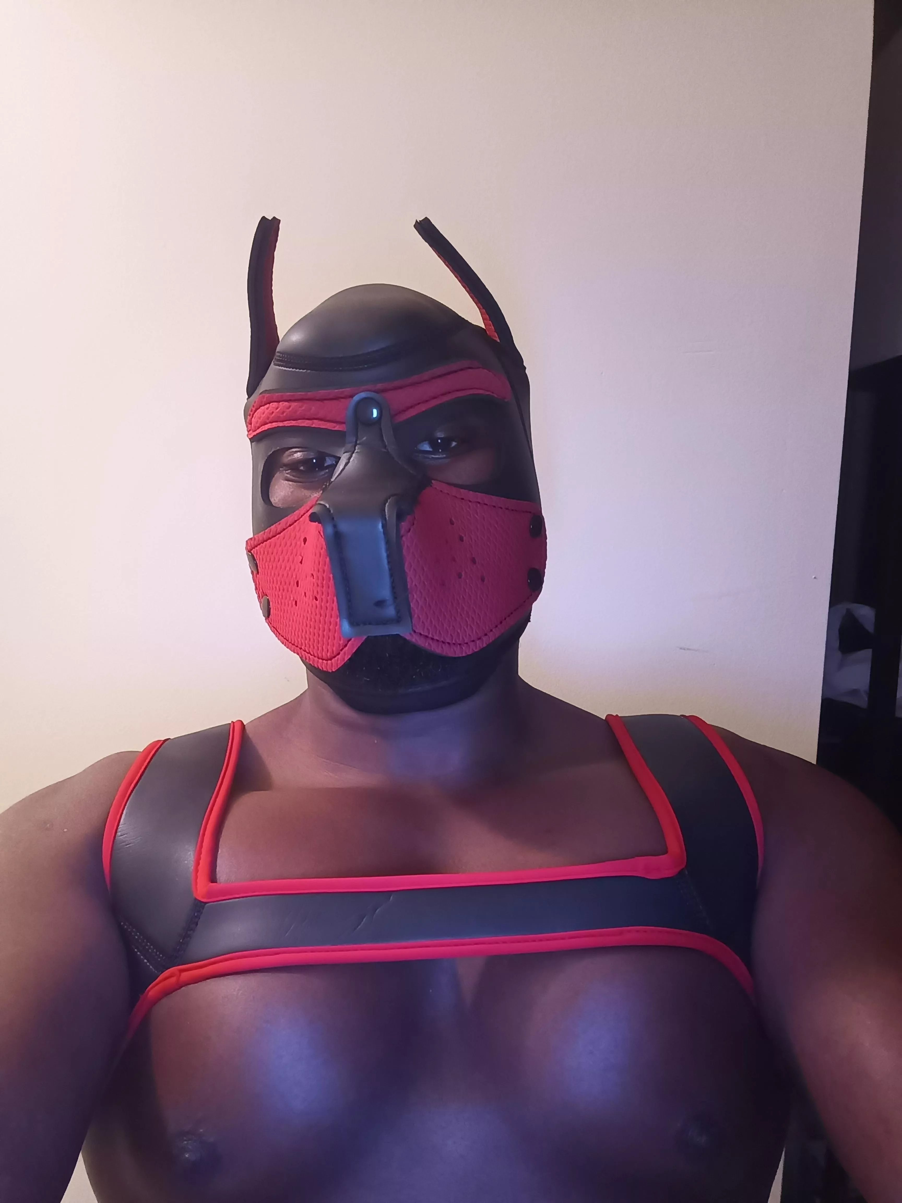 First Mask, New here. Hello everyone. Vers Bottom here.