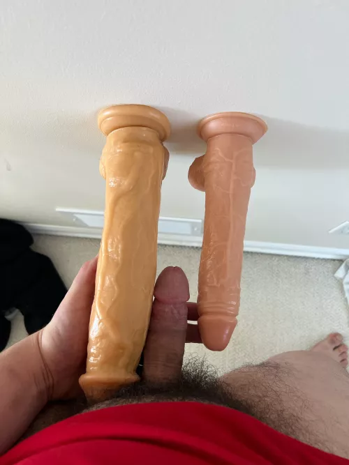 Found wife’s dildos recently and it’s ducking wild
