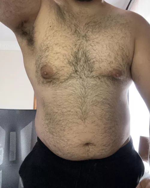 Gay + bear = post on this page 🐻