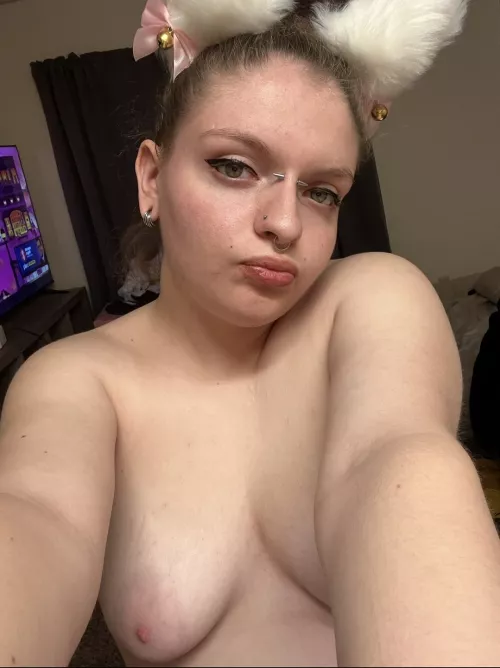 I'm a kittyn that likes to play