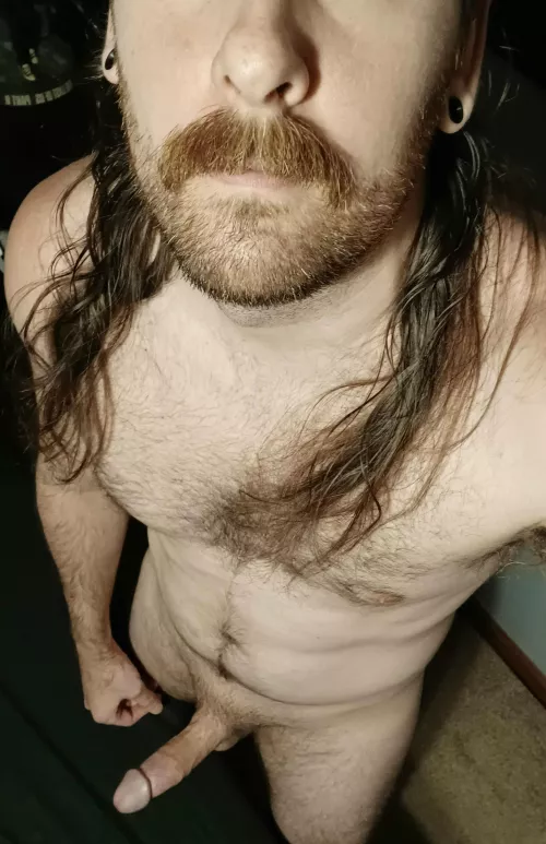 In need of some company