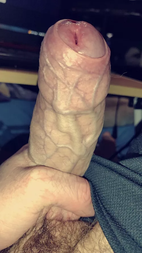 is my cock more veiny than yours?