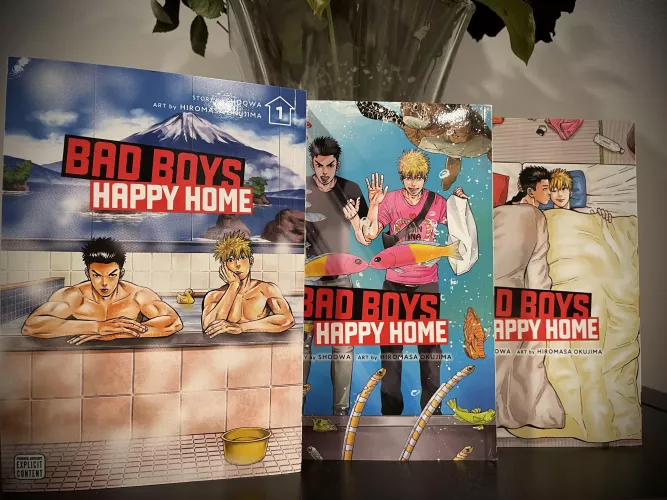 Just an absolutely gorgeous series. Beautiful story + beautiful artwork. I’m obsessed with the covers.