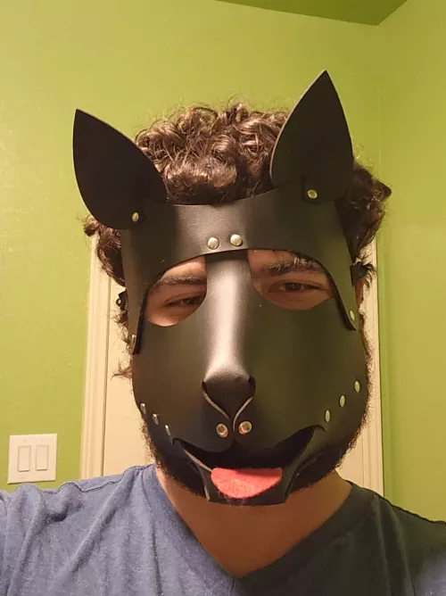 New pup sayin hello!