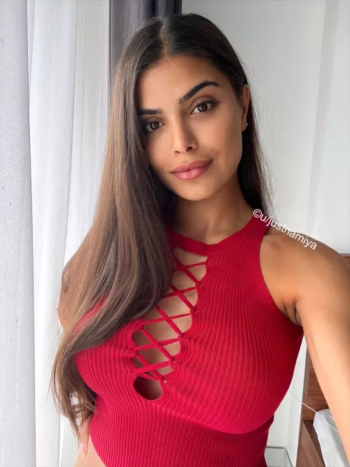 Perman (Persian x German)