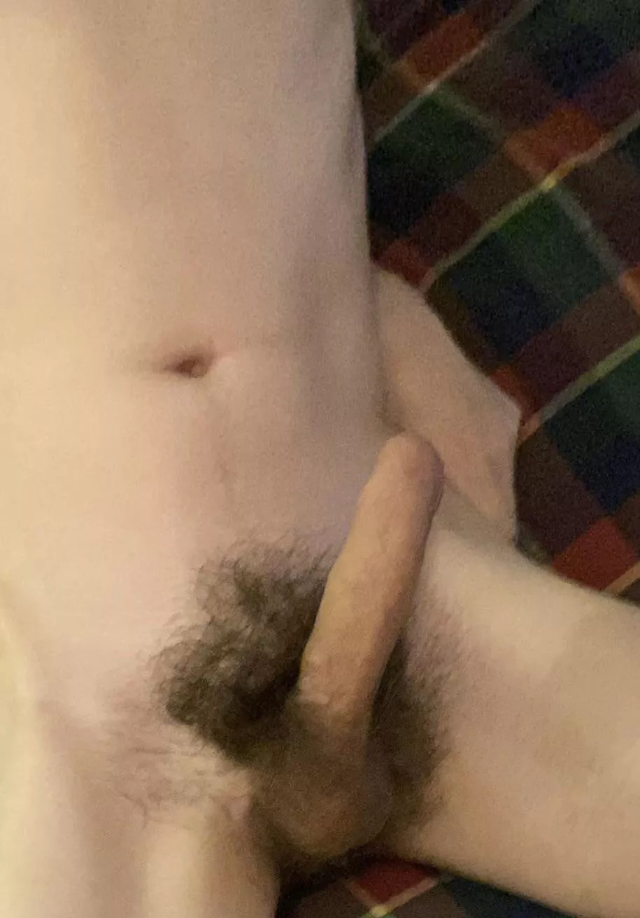 Picture from when I had my bushes