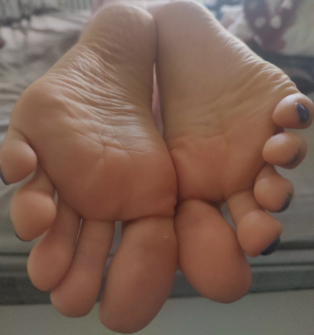 Please my feet when I'm Redditing