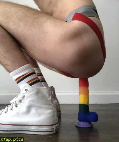 Some days you just need a good toy [24]