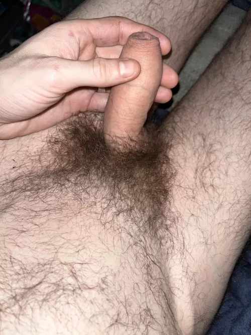 Think I ought to give this a trim