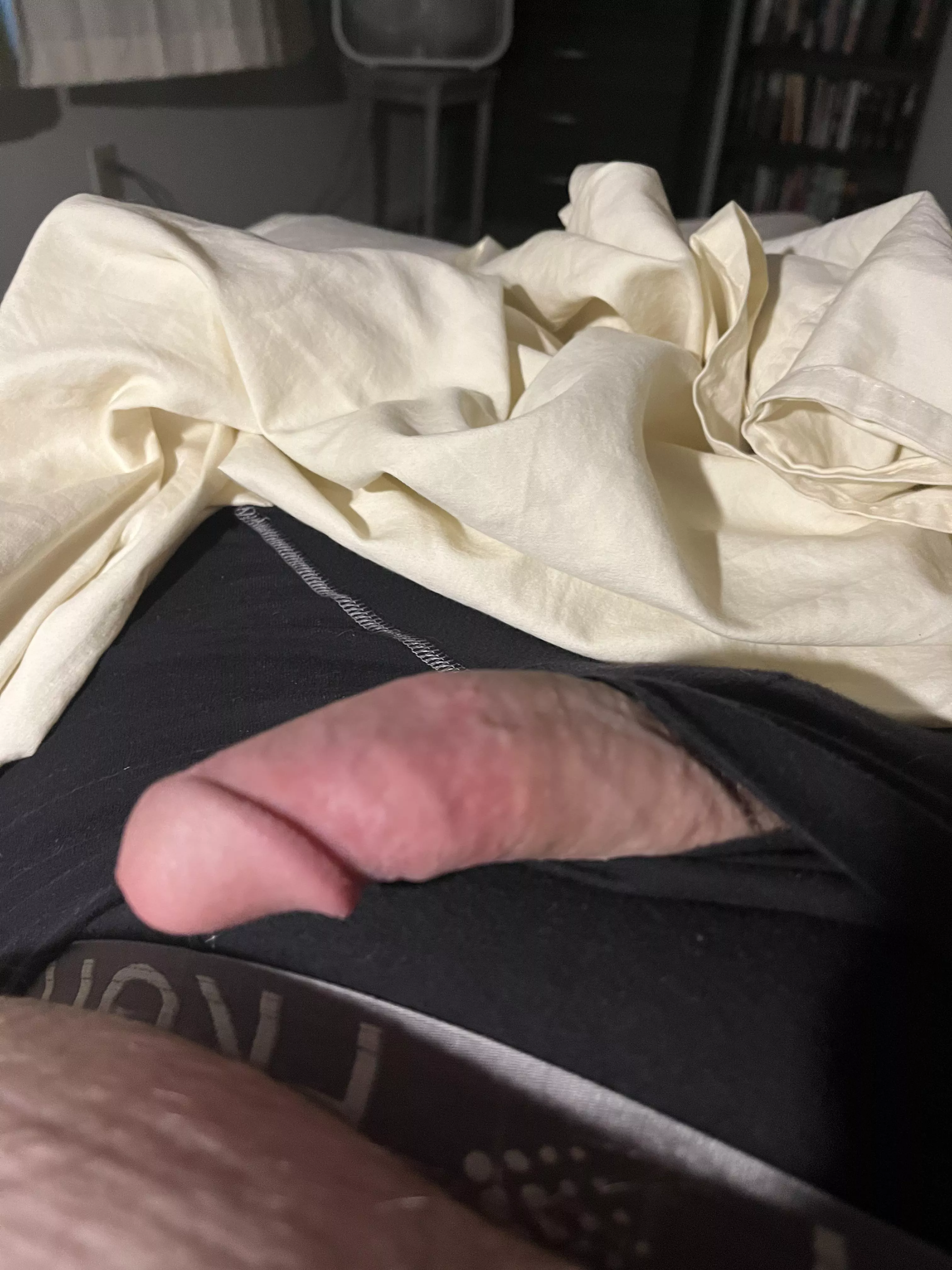 Young bull in training🥴