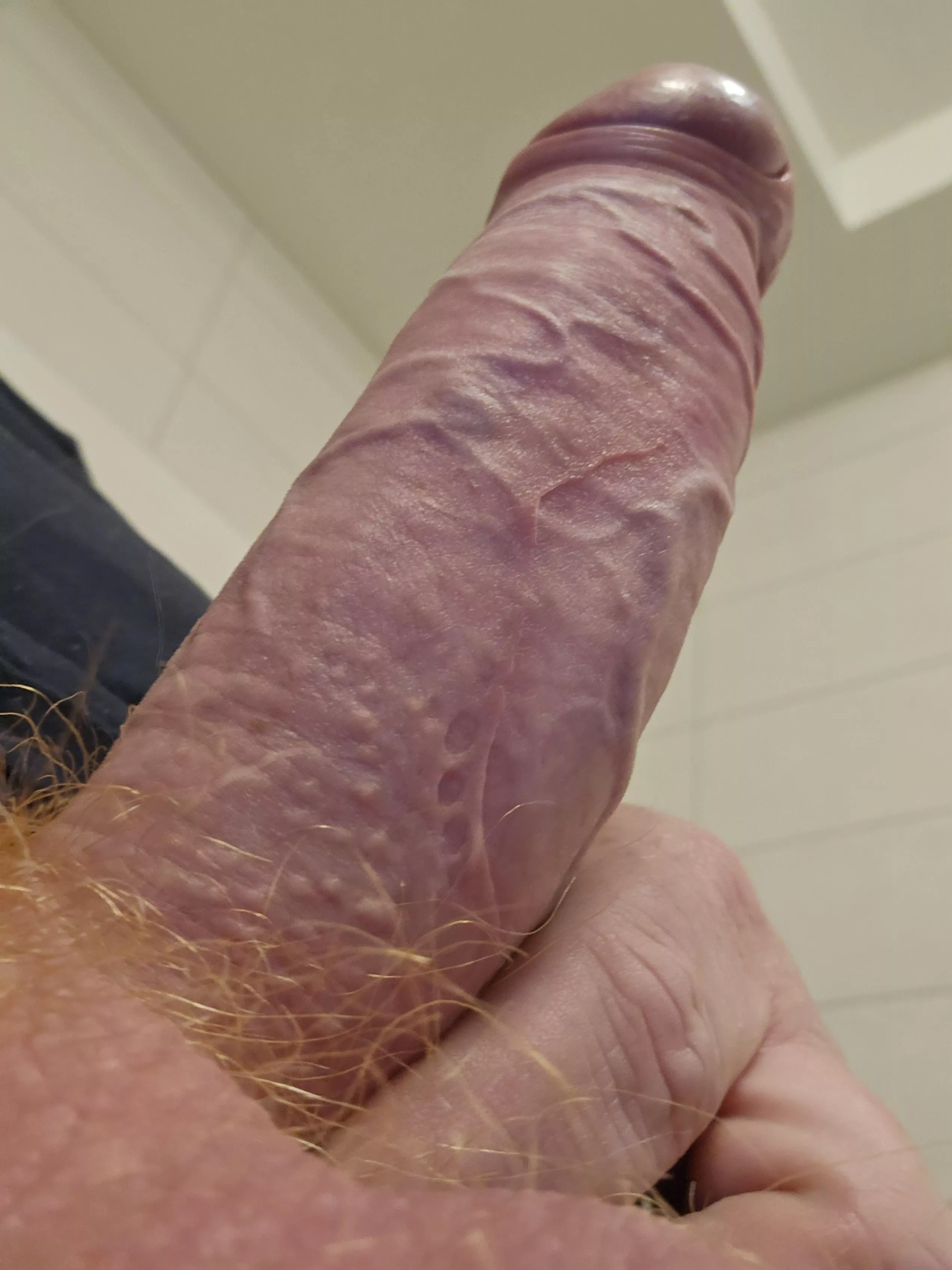 (50) maybe someone would like to use it?