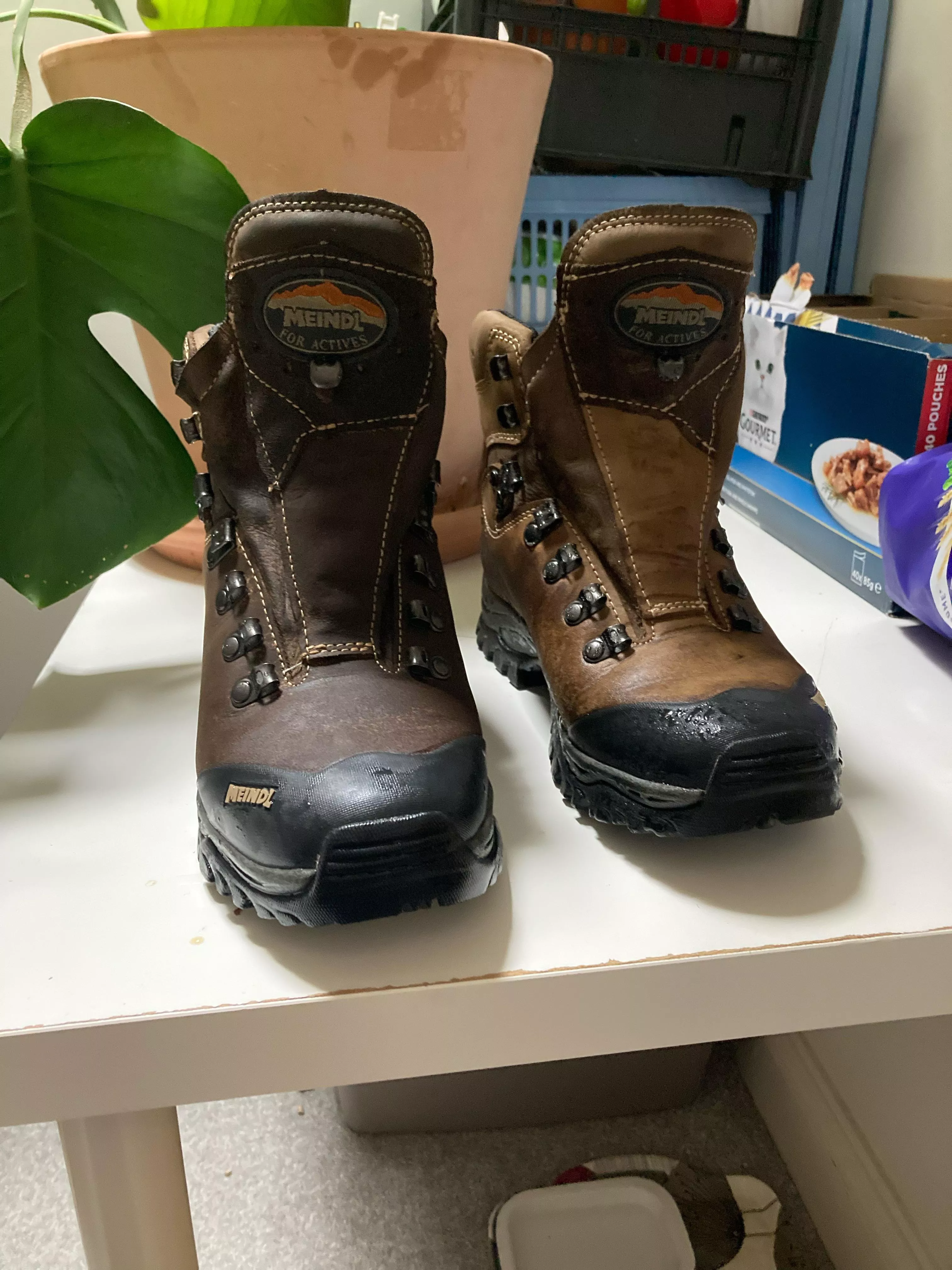 Accidentally sprayed Isopropanol on a Nubuck leather walking boot. Went to spray water on them after brushing down after use. Will the boot I sprayed dry back to normal colour or have I darkened them beyond repair? Should I do the same to the other boot?