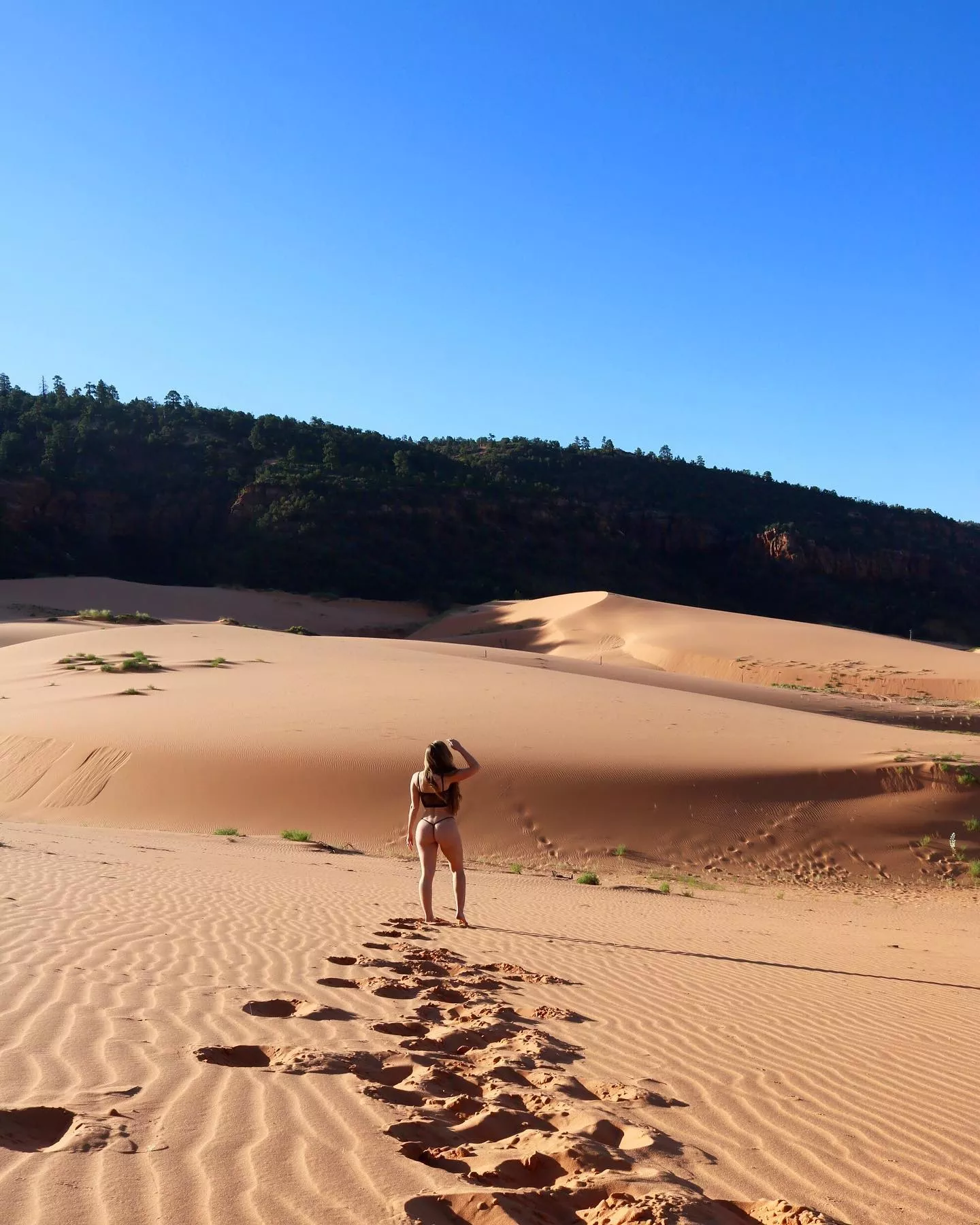 Alone in the dessert