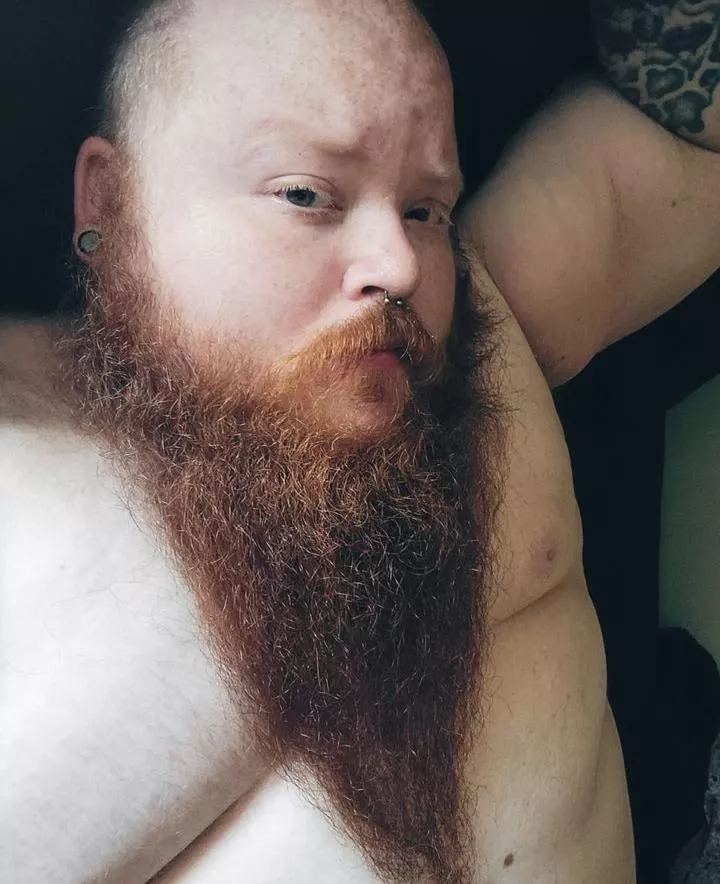 BSBGYLTF (Big Sexy Bearded Ginger You'd Like To Fuck)