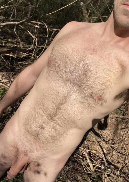 Come explore the woods with me