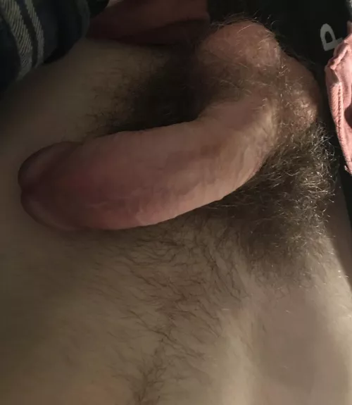Do I have a nice cock?