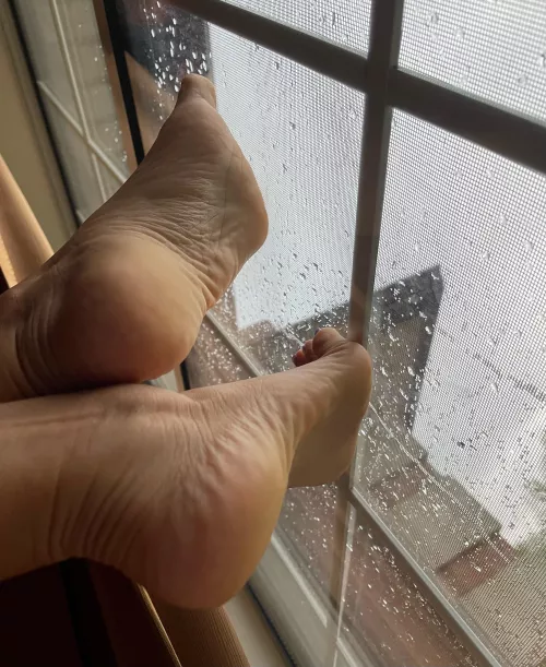 Even the rain is drooling over them!