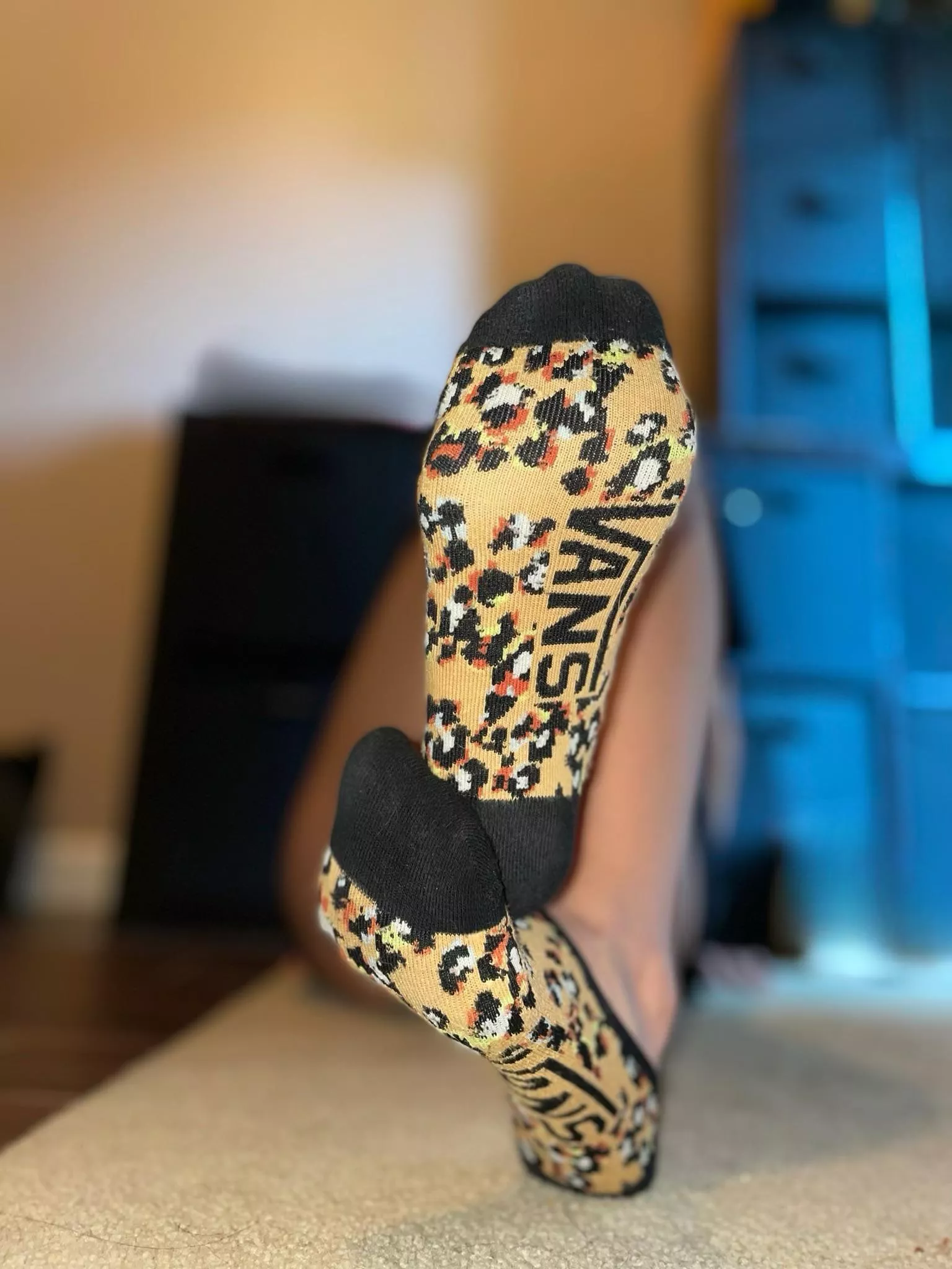 [female] What do you think of these socks ?