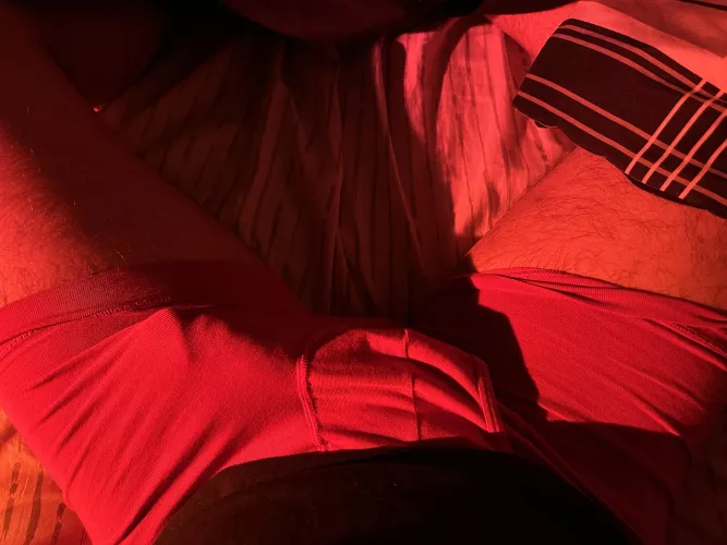 give me a reason to start stroking it