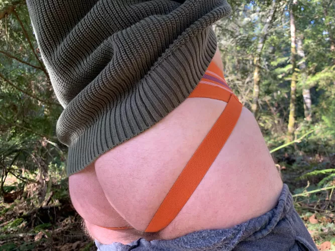 Great day for some ass