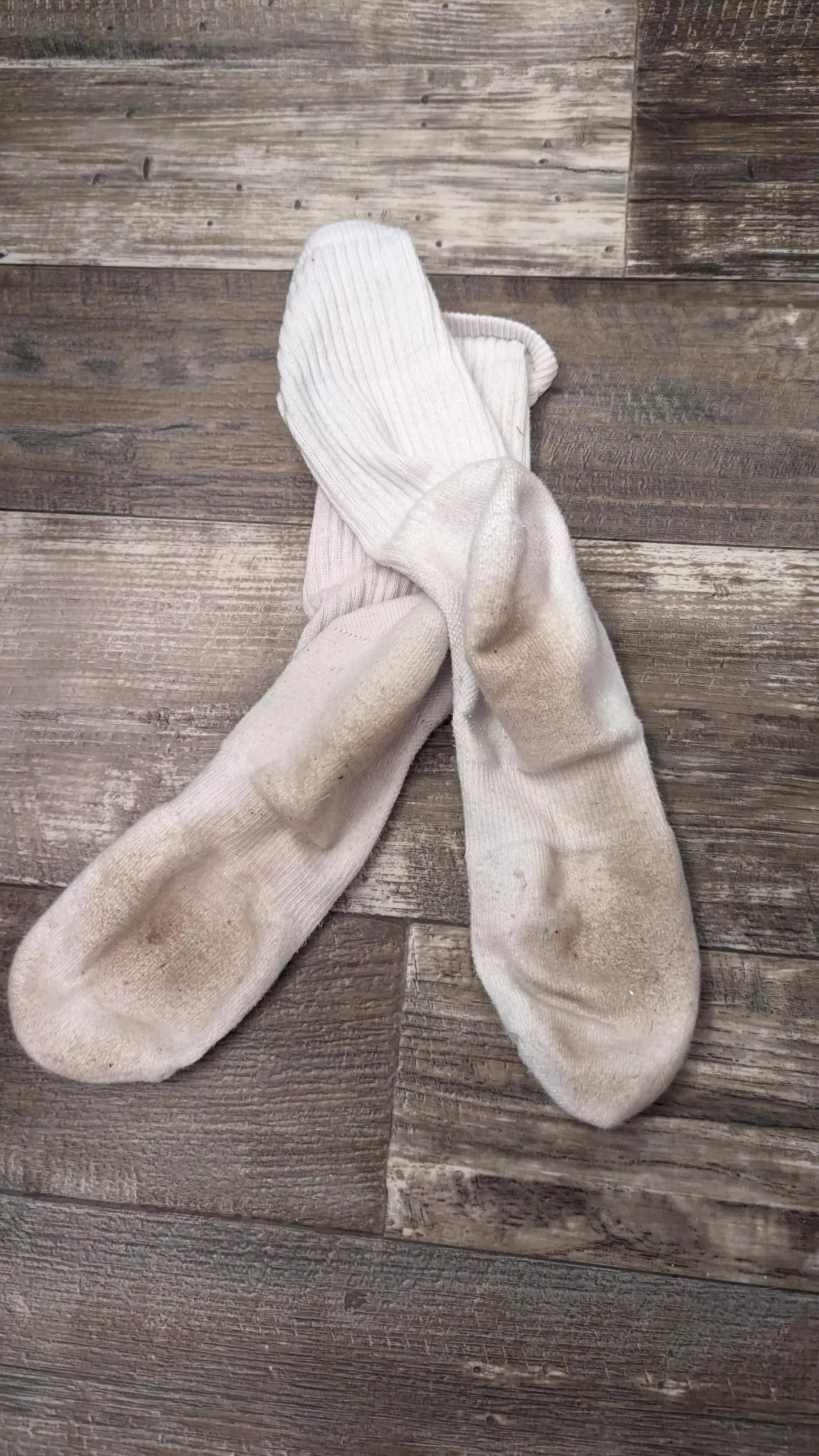 Long day of housework, you'll nose will enjoy these.