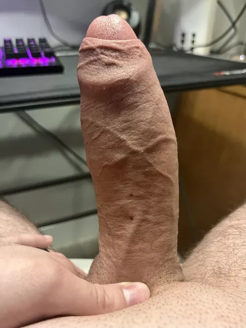 My thick cock this morning