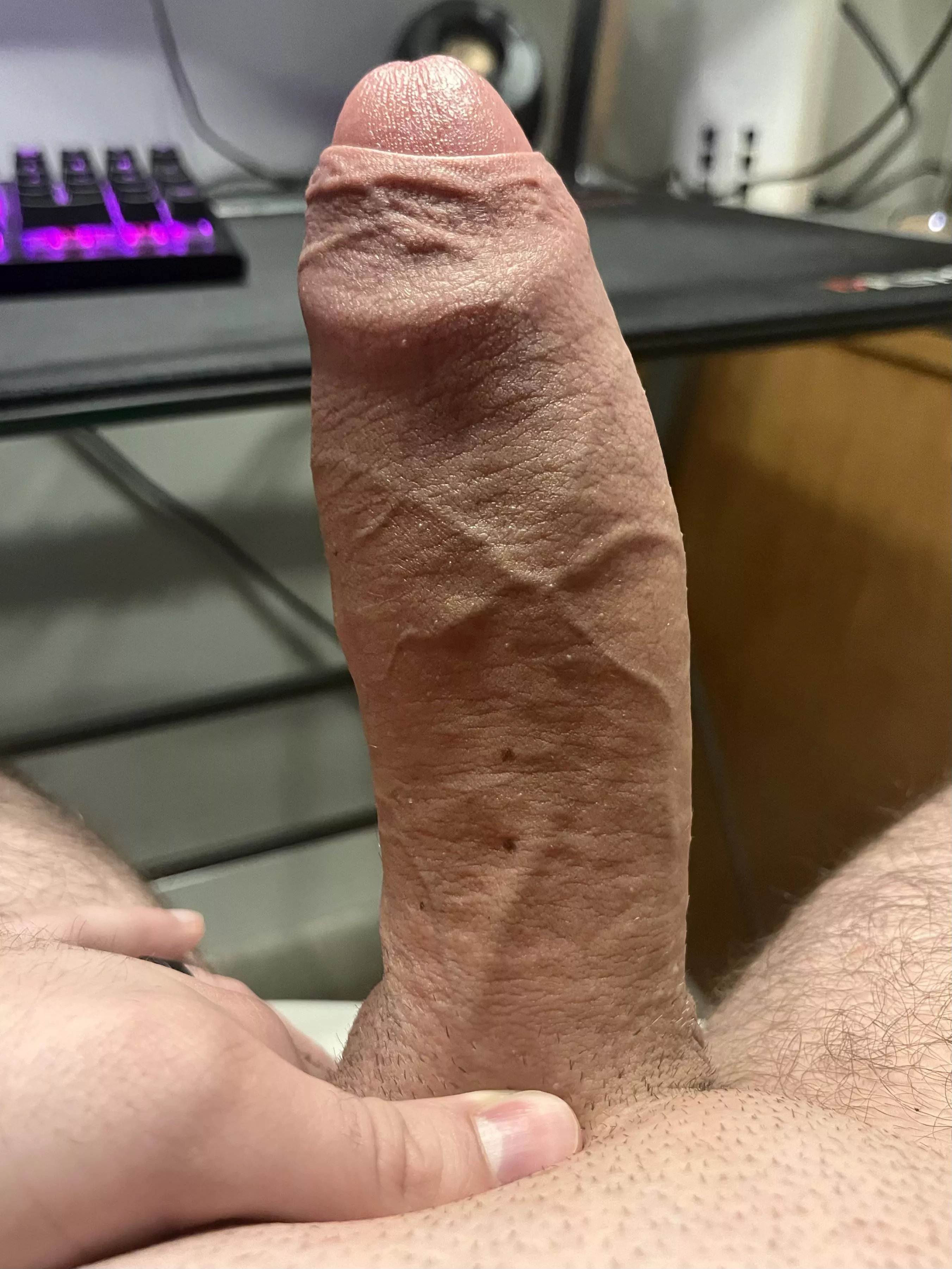 My thick cock this morning