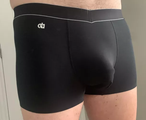 New David Archy Trunks