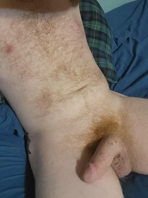 New here, first post.