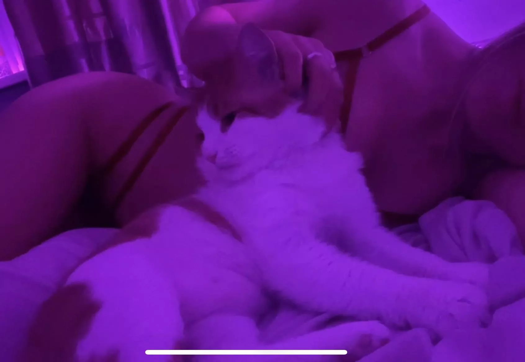 Playing with my tiny cat