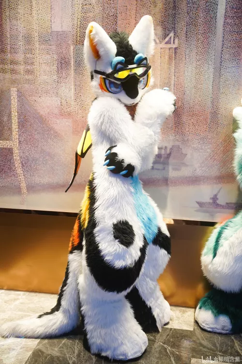 Shy @Fructose_c on Twitter