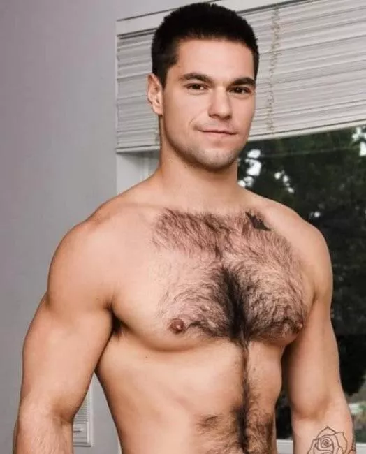 “Solomon Aspen” …