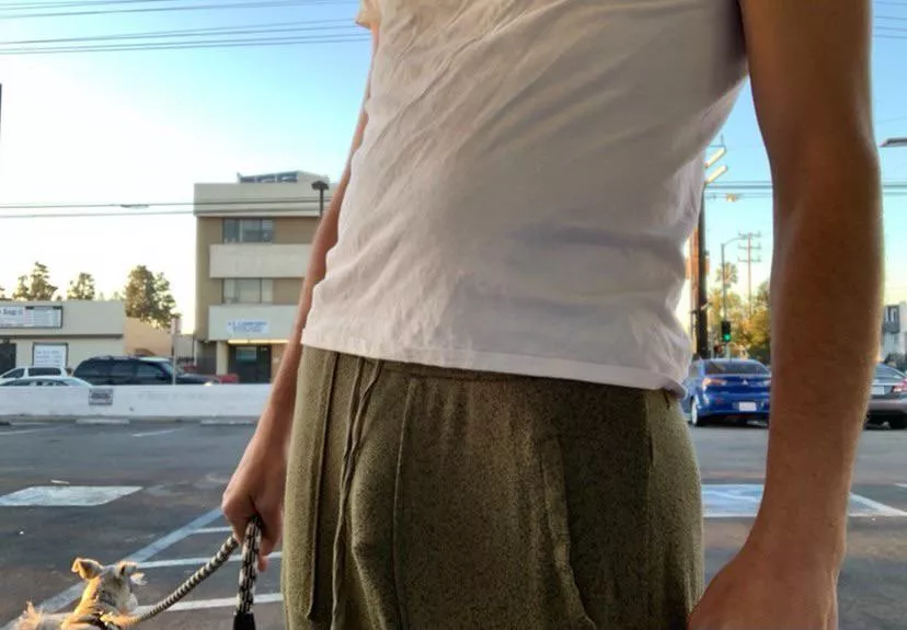 The neighbors always stare when I walk the dog, wonder why.