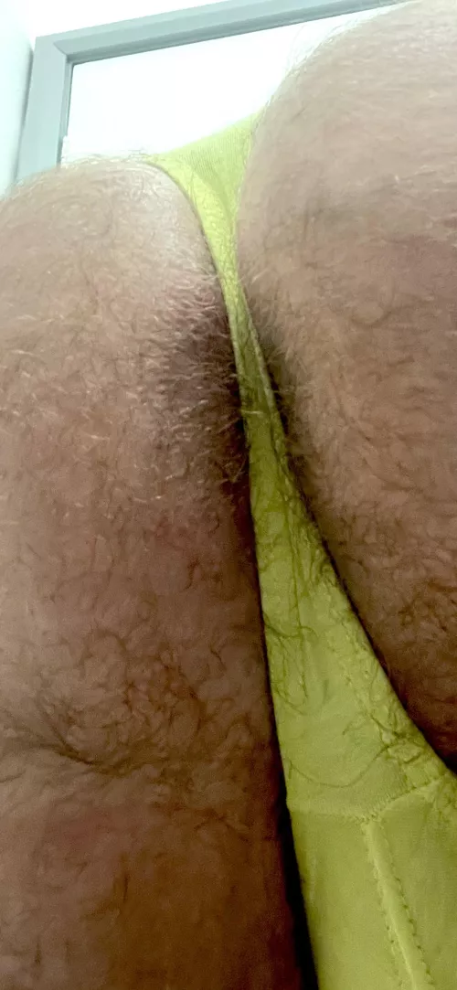 Who wants my hairy hole in this thong?