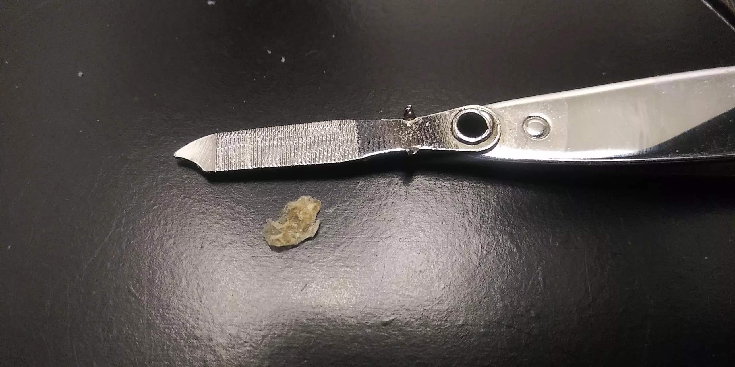 Anyone Like My Newborn Ear Baby? Need Help Naming It.