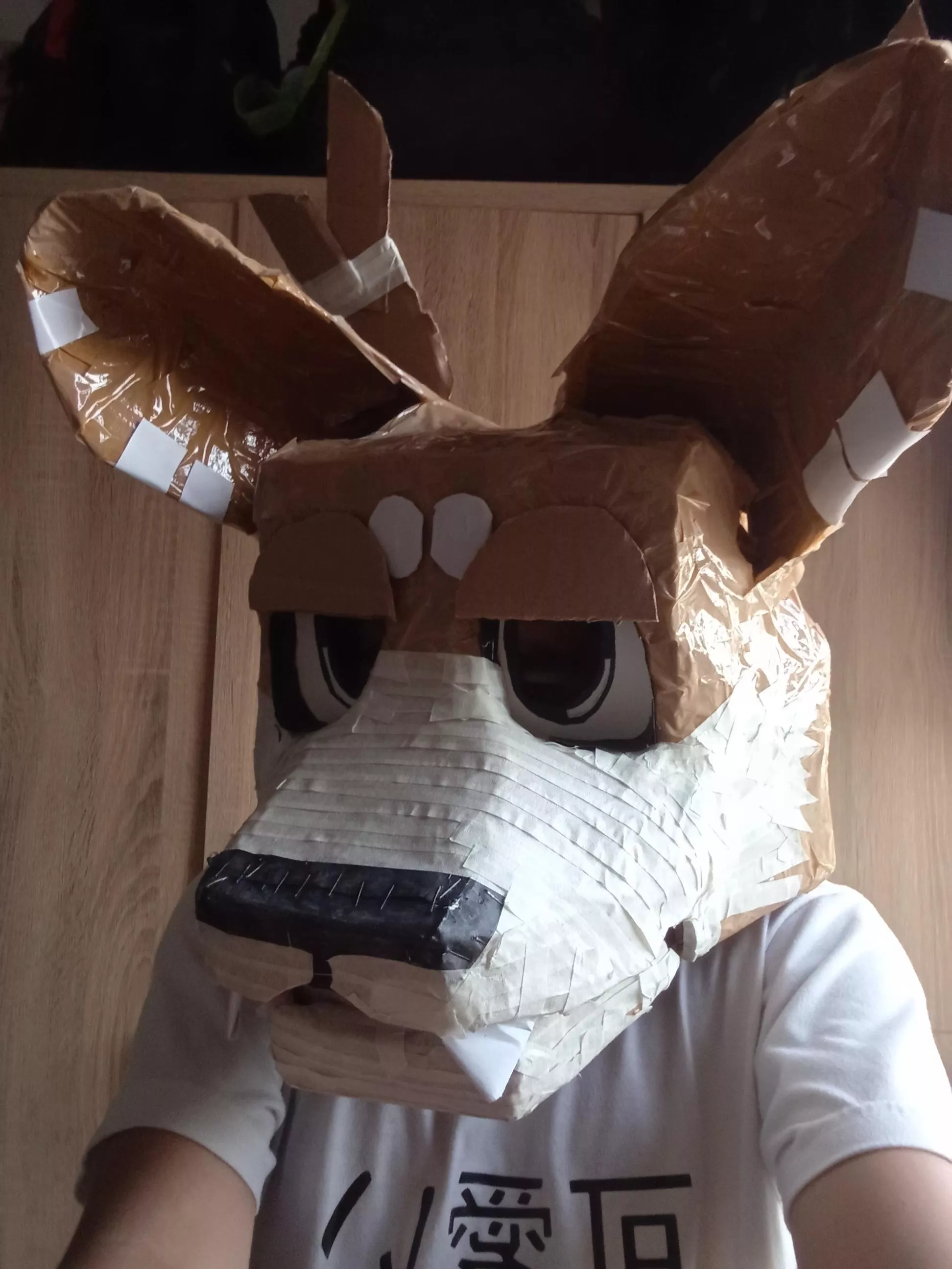 Carboard Fursuit Head