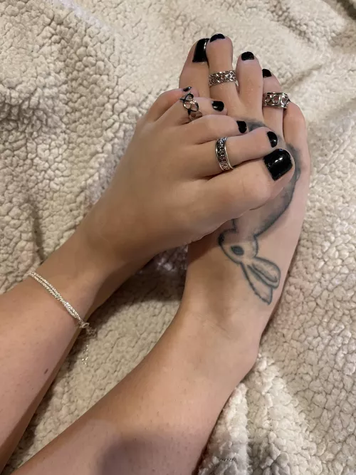 Could I bother you for some touchy’s?