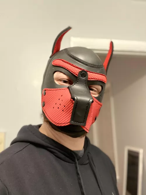 Did ya have a RUFF day at work?