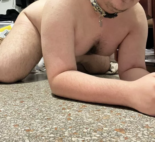 dm me if you’re a chubby dom hehe :3