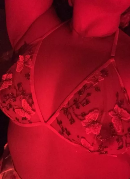 How many butterflies u can count?