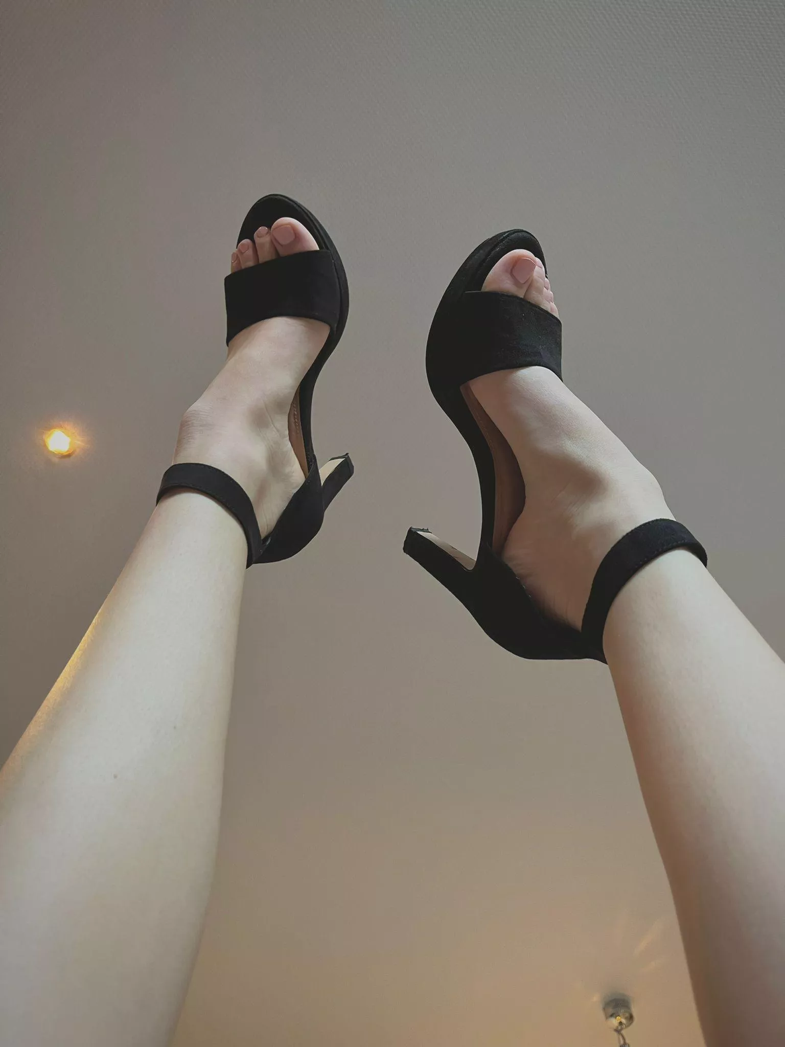 I need a king to take care of them