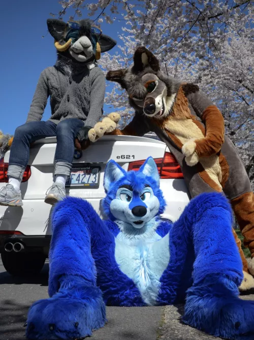 I wonder if you look both ways when you cross my mind