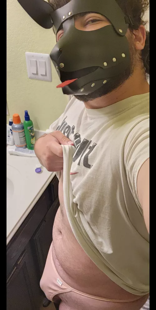 It ain't a jock, but this pup is showing off some skimpy panties!