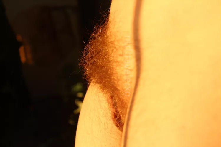 It’s so infuriating that the sun is kissing my pussy and not you