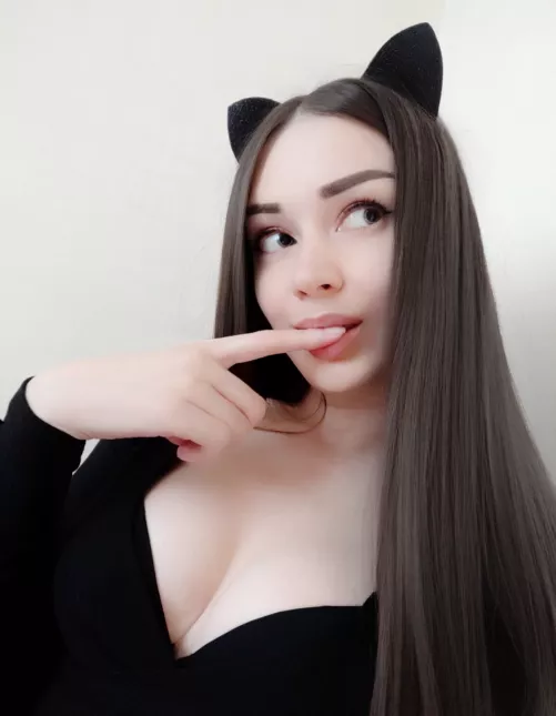 Meow 😻 who wants a kitten?